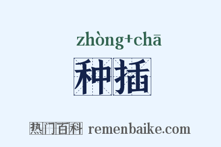 种插是什么意思的图片